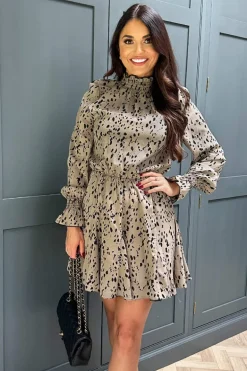 Beige Animal Print Long Sleeve Shirred Detail Skater Dress