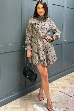 Beige Animal Print Long Sleeve Shirred Detail Skater Dress