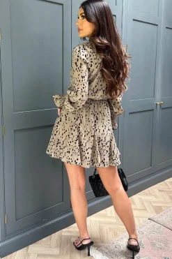 Beige Animal Print Long Sleeve Shirred Detail Skater Dress