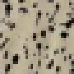 Beige Animal Print Long Sleeve Shirred Detail Midi Dress