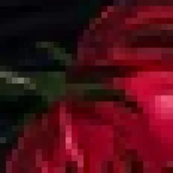 Black And Red Floral Print Ruched Side Strappy Midi Dress