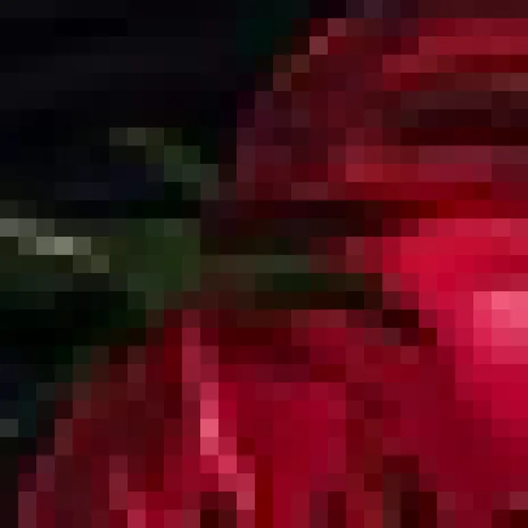 Black And Red Floral Print Ruched Side Strappy Midi Dress