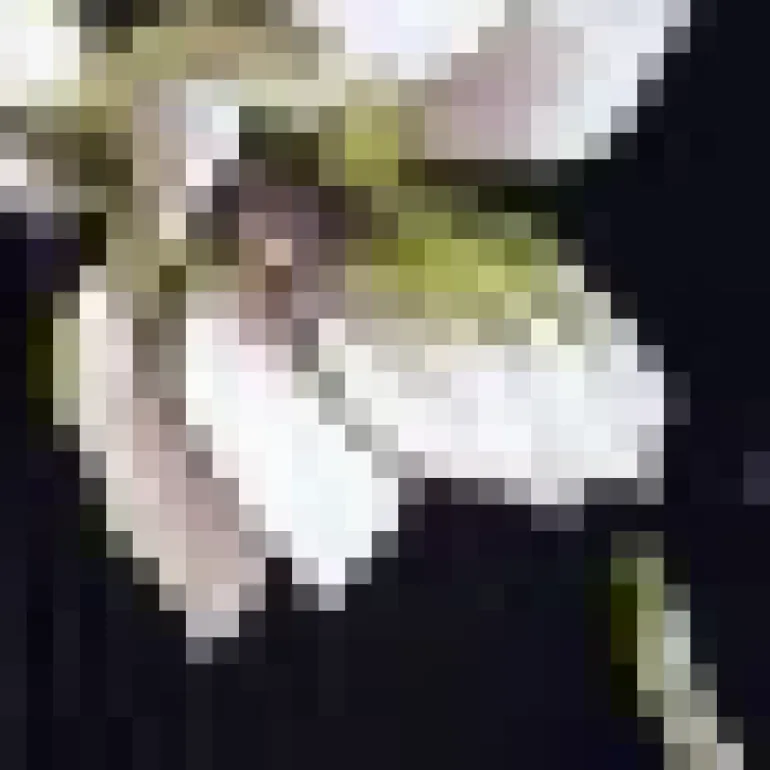 Black And White Floral Print One Shoulder Cut Out Pleated Midi Dress