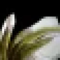 Black And White Floral Print Strappy Twist Back Slip Midi Dress