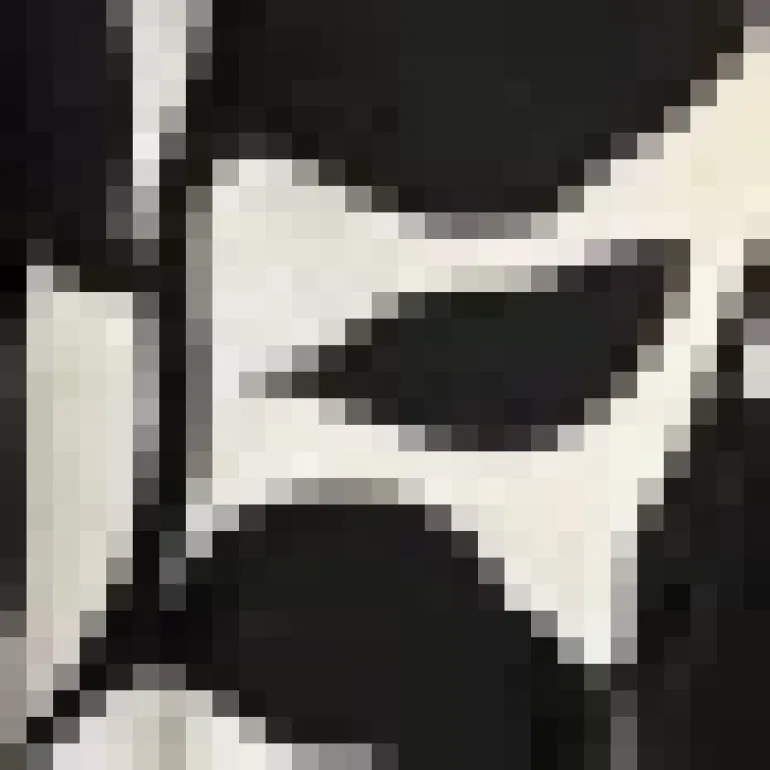 Black And White Leaf Print 2 In 1 Double Frill Split Midi Dress