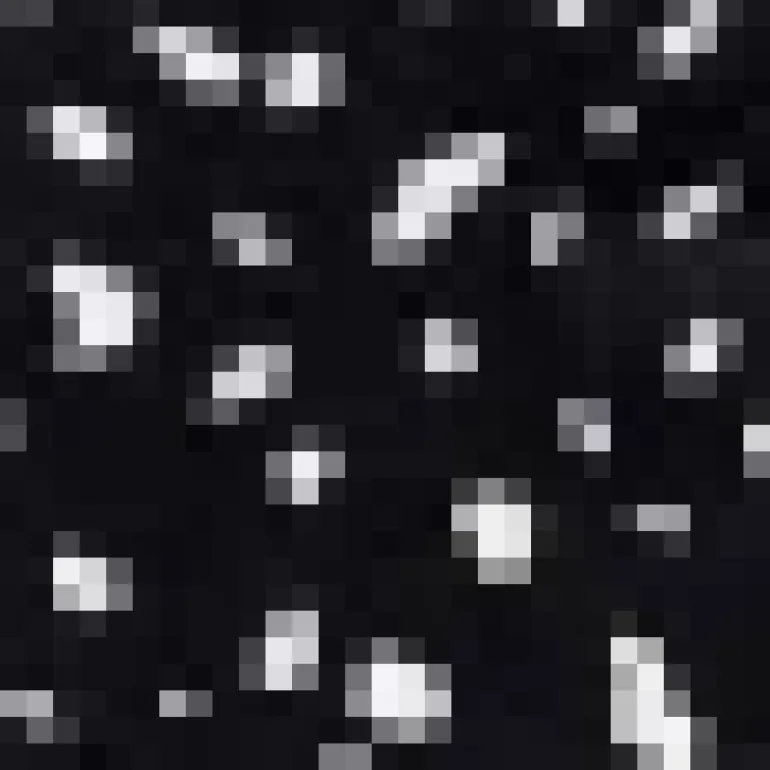 Black And White Spot Printed Strappy Wrap Top Tie Waist Midi Dress