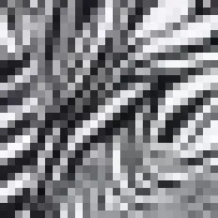 Black And White Zebra Print Midi Shirt Dress