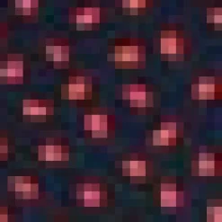 Black Dotty Puff Sleeve Pleated Skater Dress