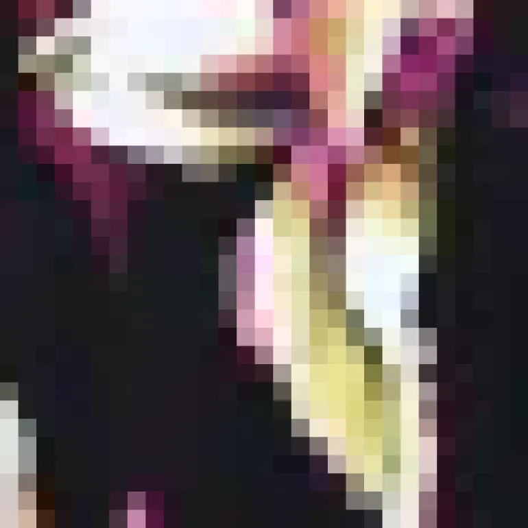 Black Floral Print 2 In 1 Double Frill Split Midi Dress