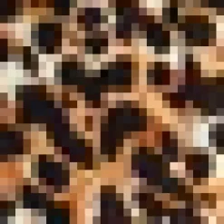 Brown Cheetah Print Short Sleeve Midi Shirt Dress