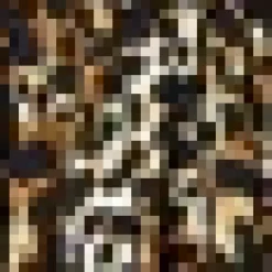 Brown Cheetah Print Wrap Top Tie Waist Skater Mini Dress