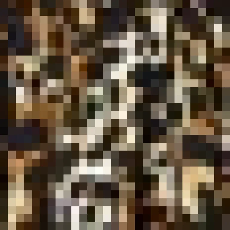 Brown Cheetah Print Wrap Top Tie Waist Skater Mini Dress