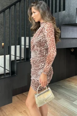 Brown Leopard Print Long Sleeve Ruched Mesh Mini Dress