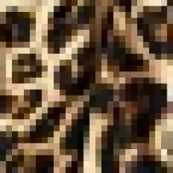 Brown Leopard Print Satin Gathered Wrap Shirt Mini Dress