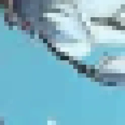 Duck Egg Floral Print Racer Neck High Low Frill Hem Midi Dress