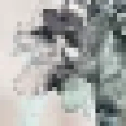 Dusty Pink Printed Ruched Sleeve Top