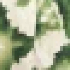 Green And Cream Marble Print Strap Detail Asymmetric Cut Out Midi Dress