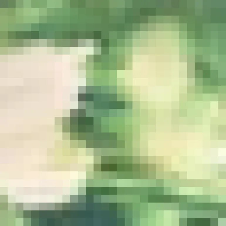 Green And Cream Marble Print Wrap Top Gathered Skirt Midi Dress