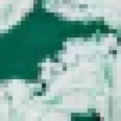 Green And White Floral Printed Short Sleeve Day Dress