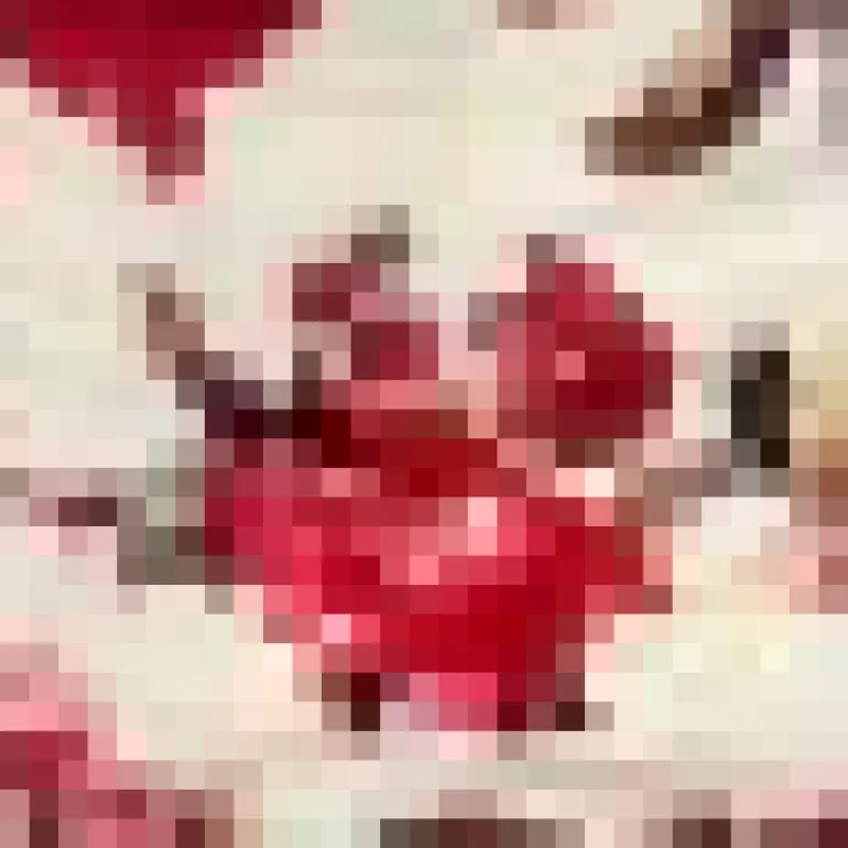 Multi Floral Print Ruched Frill Strap Mini Dress