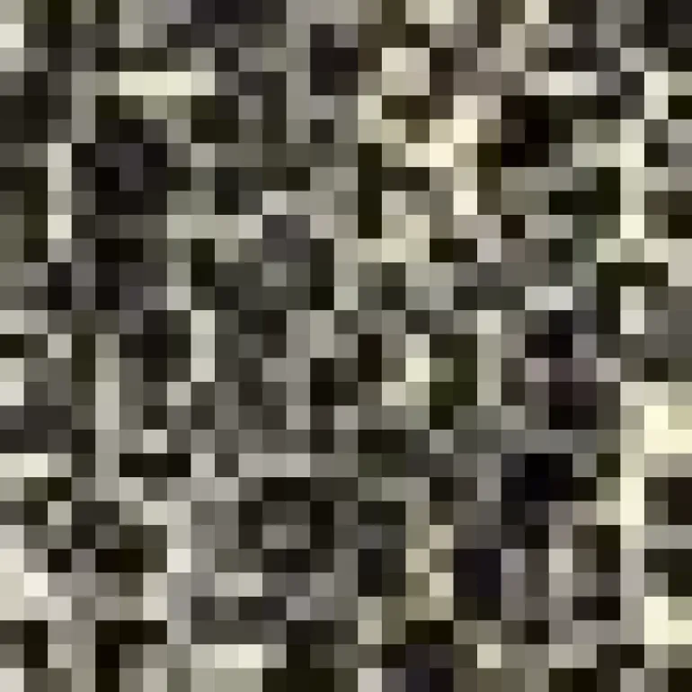 Multi Leopard Print 2 in 1 Belted Mini Skater Dress