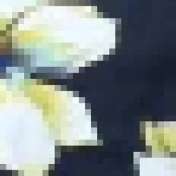 Navy Floral Print Halter Neck Dipped Hem Midi Dress