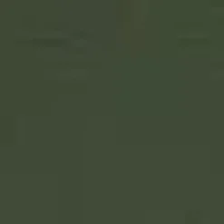 Olive 3/4 Sleeves Collared Gathered Waist Top