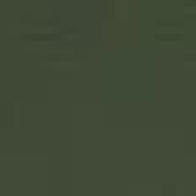 Olive 3/4 Sleeves Collared Gathered Waist Top