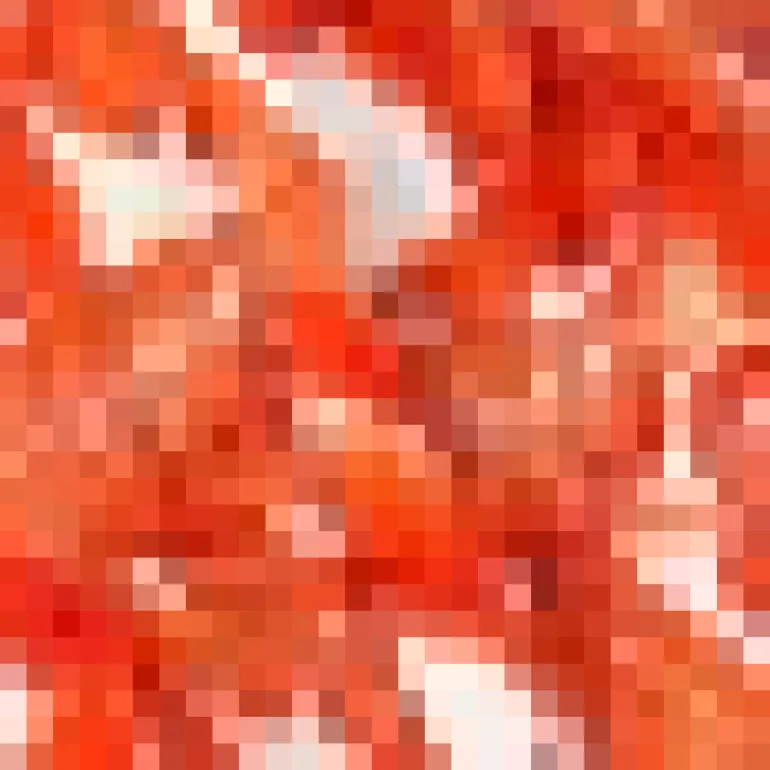 Orange Leaf Print Tie Neck Shirred Top Smock Midi Dress