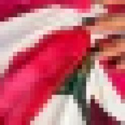 Pink And Cream Floral Print Wrap Top Gathered Midi Dress