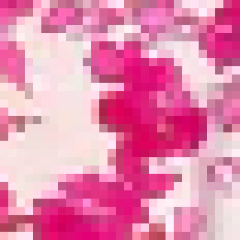 Pink And White Floral Print Butterfly Sleeve Skater Mini Dress