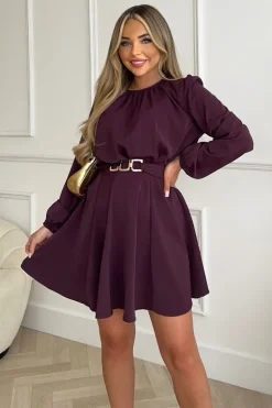Plum Long Sleeve Belted Skater Dress