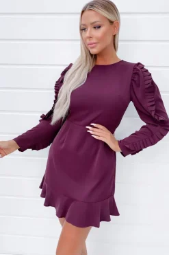 Plum Pleated Long Sleeve Skater Dress