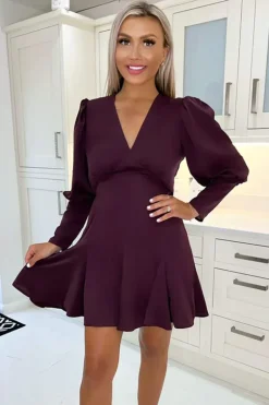 Plum V-Neck Long Sleeve Skater Dress