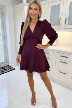 Plum V-Neck Long Sleeve Skater Dress