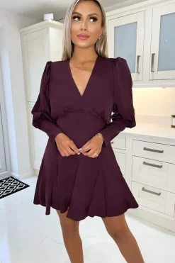 Plum V-Neck Long Sleeve Skater Dress