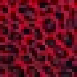 Red and Black Animal Print Tie Front Midi Dress