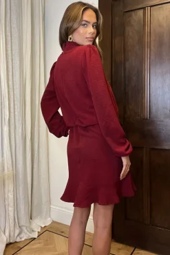 Wine High Neck Long Sleeve Mini Dress