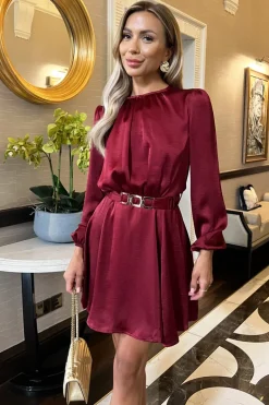 Wine Long Sleeve Belted Skater Mini Dress