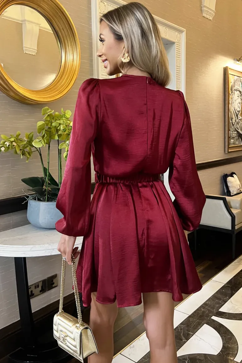Wine Long Sleeve Belted Skater Mini Dress