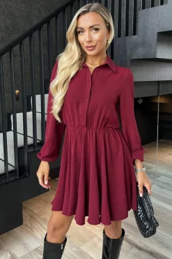 Wine Long Sleeve Mini Skater Dress