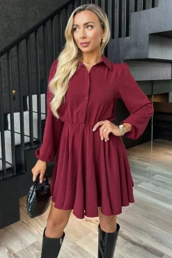 Wine Long Sleeve Mini Skater Dress