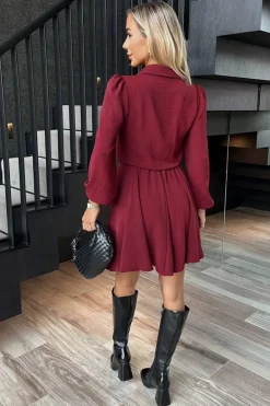 Wine Long Sleeve Mini Skater Dress