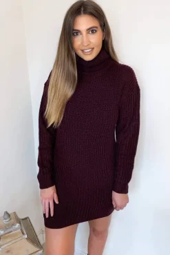 Wine Roll Neck Knit Jumper Dress