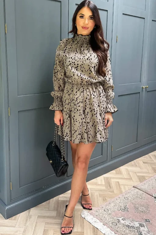 Beige Animal Print Long Sleeve Shirred Detail Skater Dress