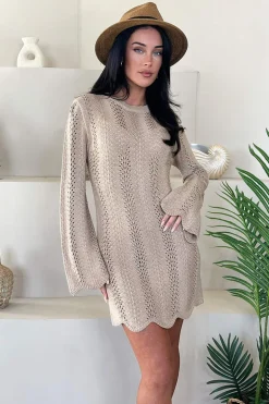 Biscuit Long Sleeve Crochet Mini Dress