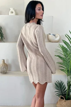 Biscuit Long Sleeve Crochet Mini Dress