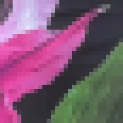 Black and Purple Flower Print One Shoulder Mesh Midi Dress