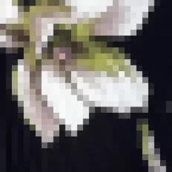 Black And White Floral Print One Shoulder Cut Out Pleated Midi Dress