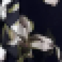 Black And White Floral Print Frill Hem Wrap Midi Dress